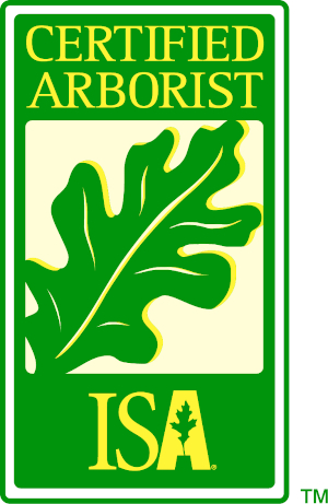 Begoon Tree Service - 540-897-0288 - Certified Arborist