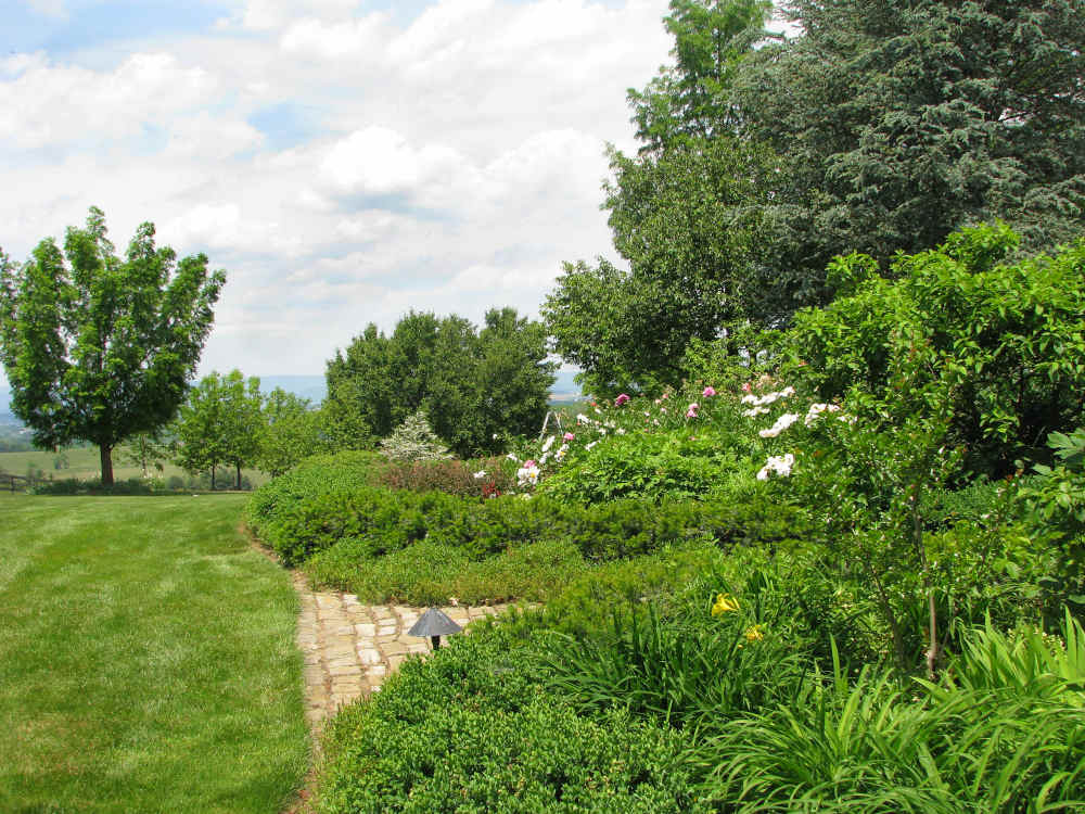 Begoon Tree Service - (540) 867-0288