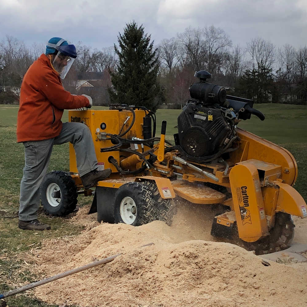 Begoon Tree Service - (540) 867-0288
