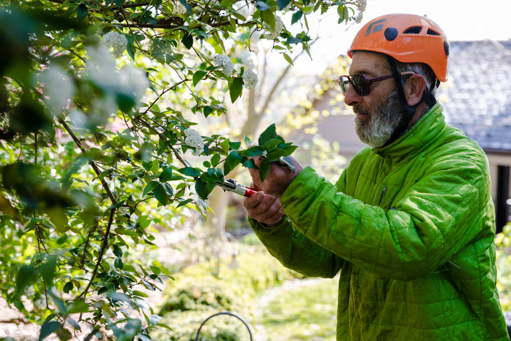 Begoon Tree Service - (540) 867-0288