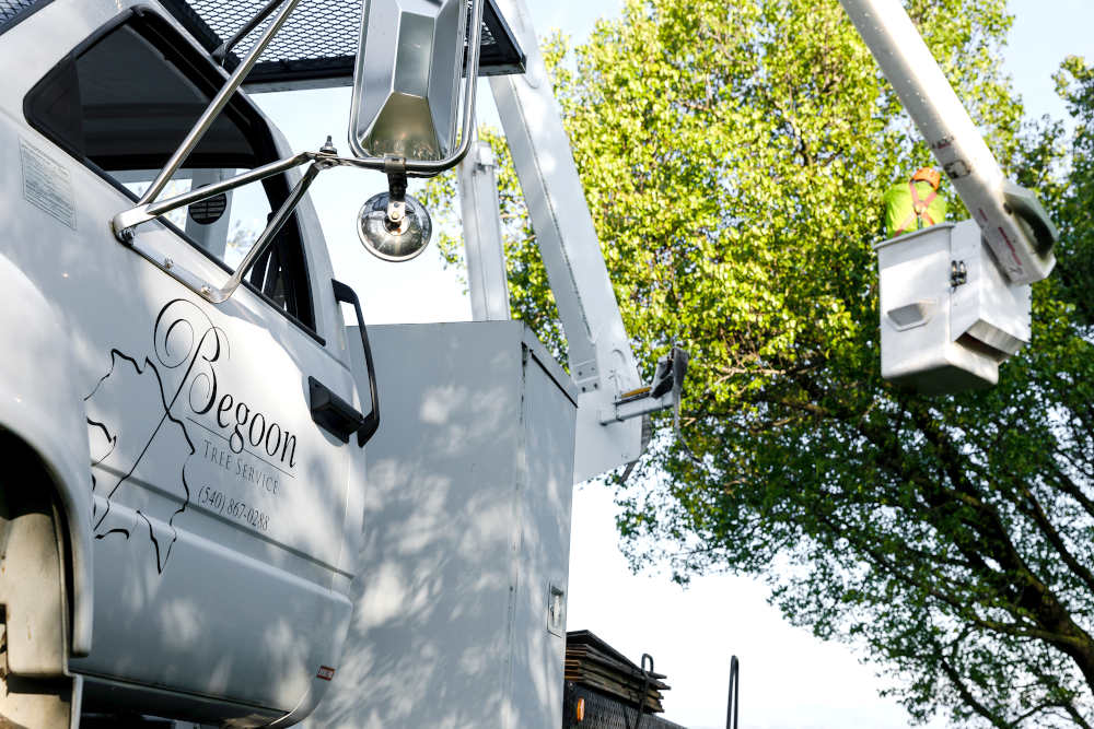 Begoon Tree Service - (540) 867-0288