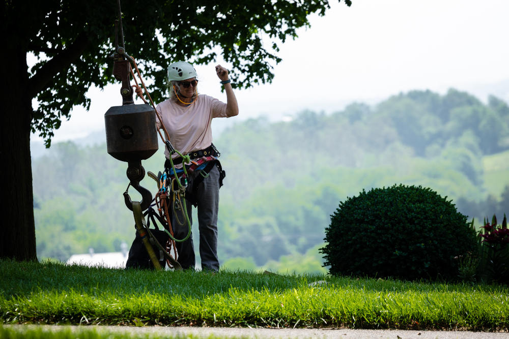 Begoon Tree Service - (540) 867-0288