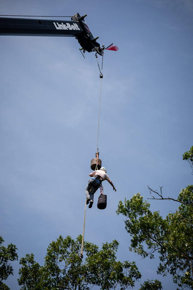 Begoon Tree Service - (540) 867-0288