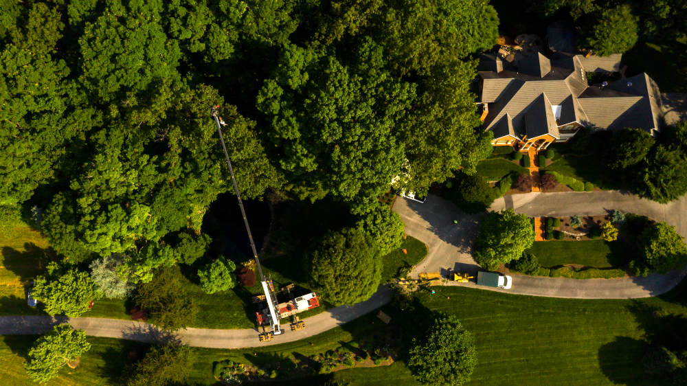 Begoon Tree Service - (540) 867-0288
