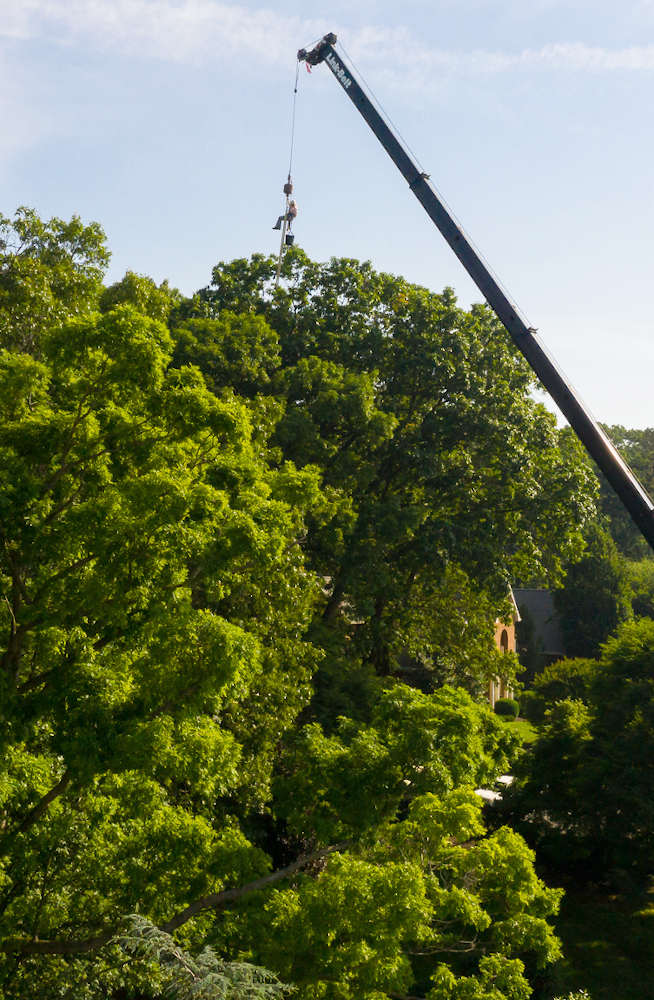 Begoon Tree Service - (540) 867-0288