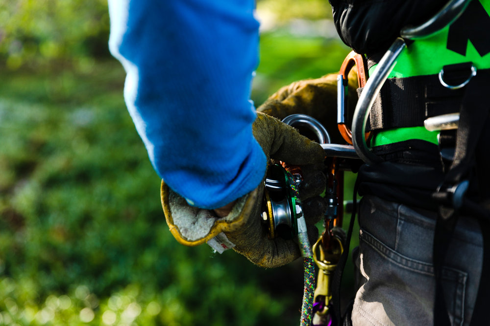 Begoon Tree Service - (540) 867-0288