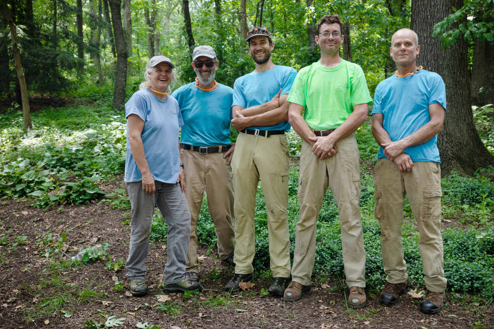 Begoon Tree Service - (540) 867-0288