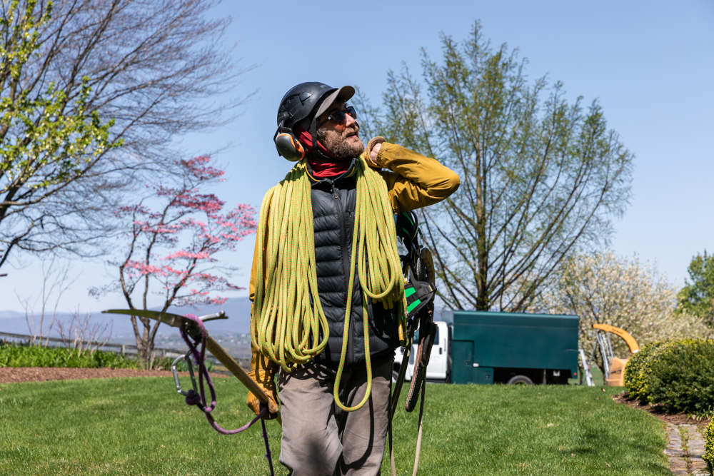 Begoon Tree Service - (540) 867-0288