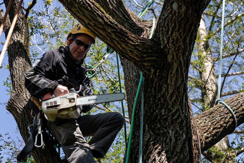 Begoon Tree Service - (540) 867-0288
