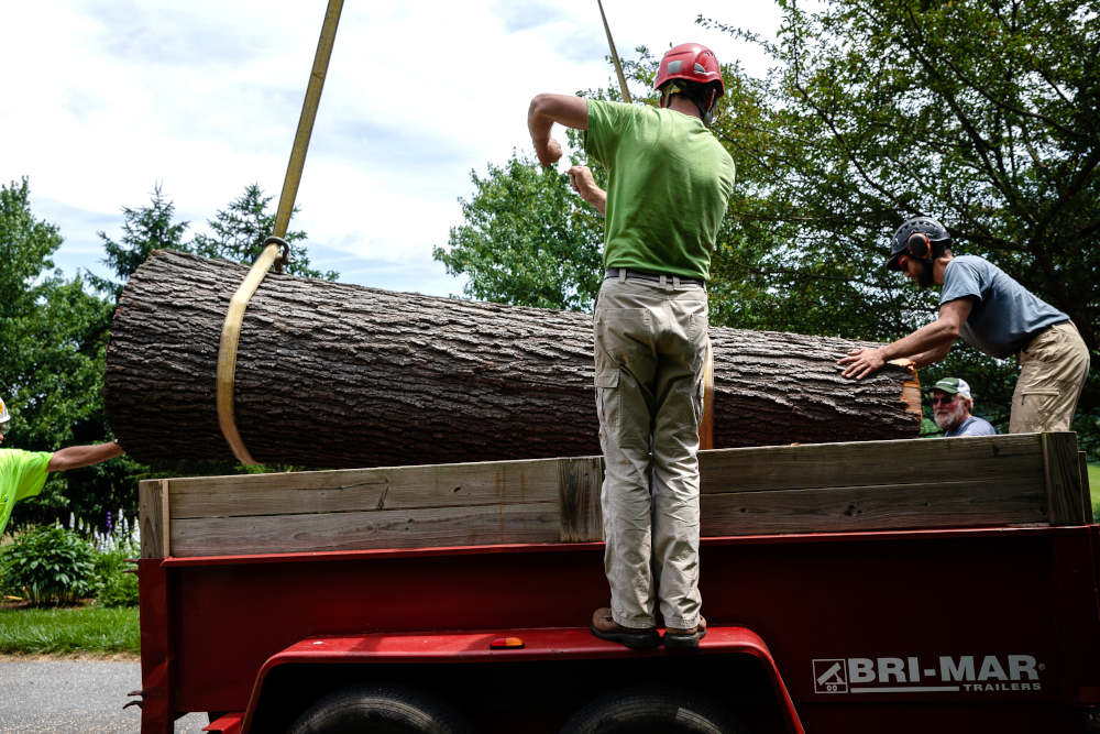 Begoon Tree Service - (540) 867-0288