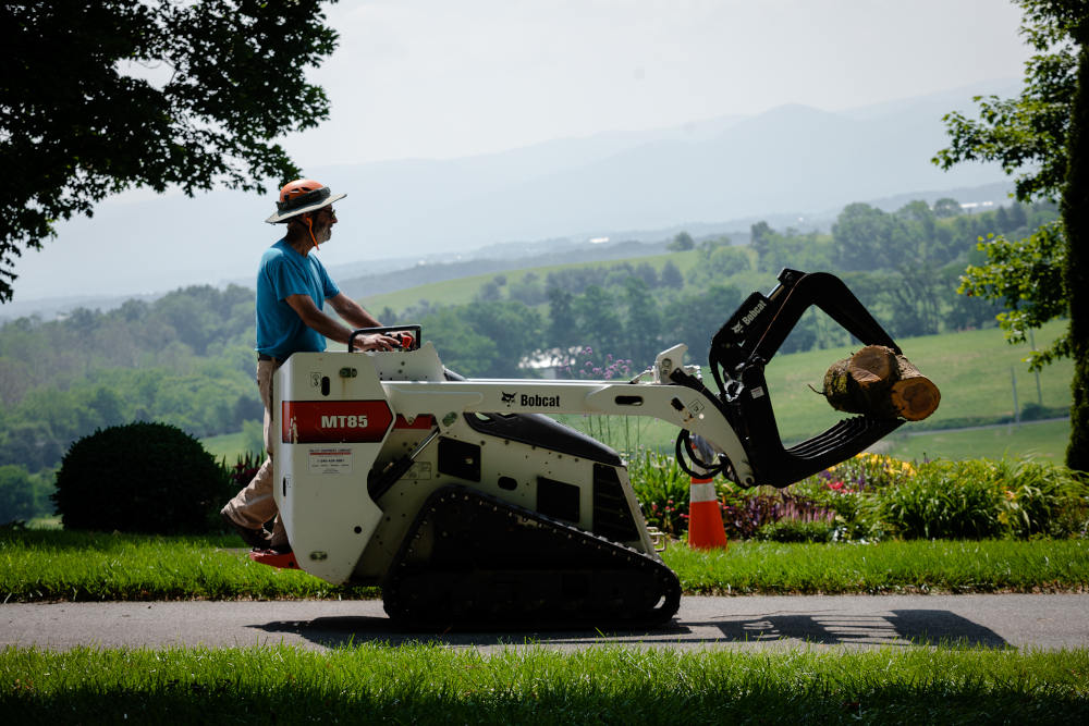 Begoon Tree Service - (540) 867-0288